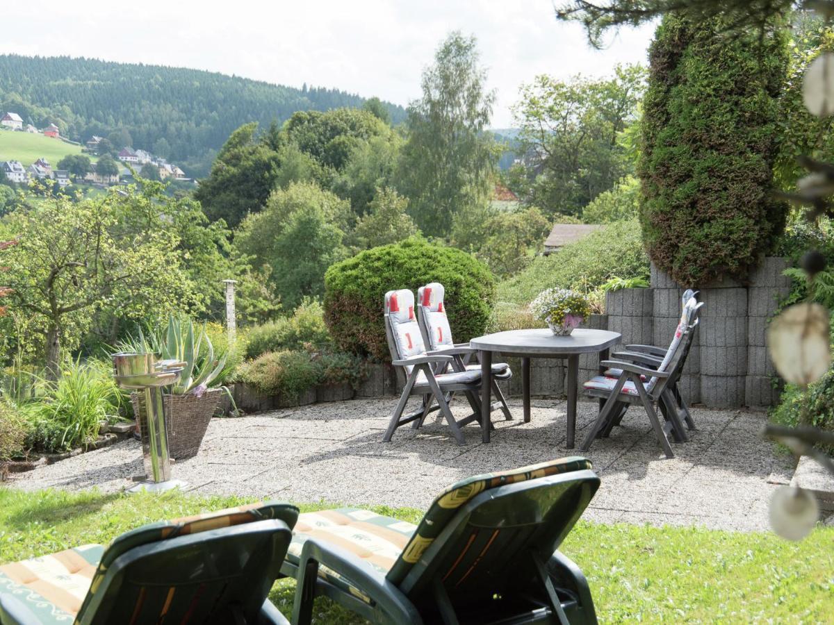 Cozy Apartment In Ore Mountains With Balcony Breitenbrunn  Værelse billede