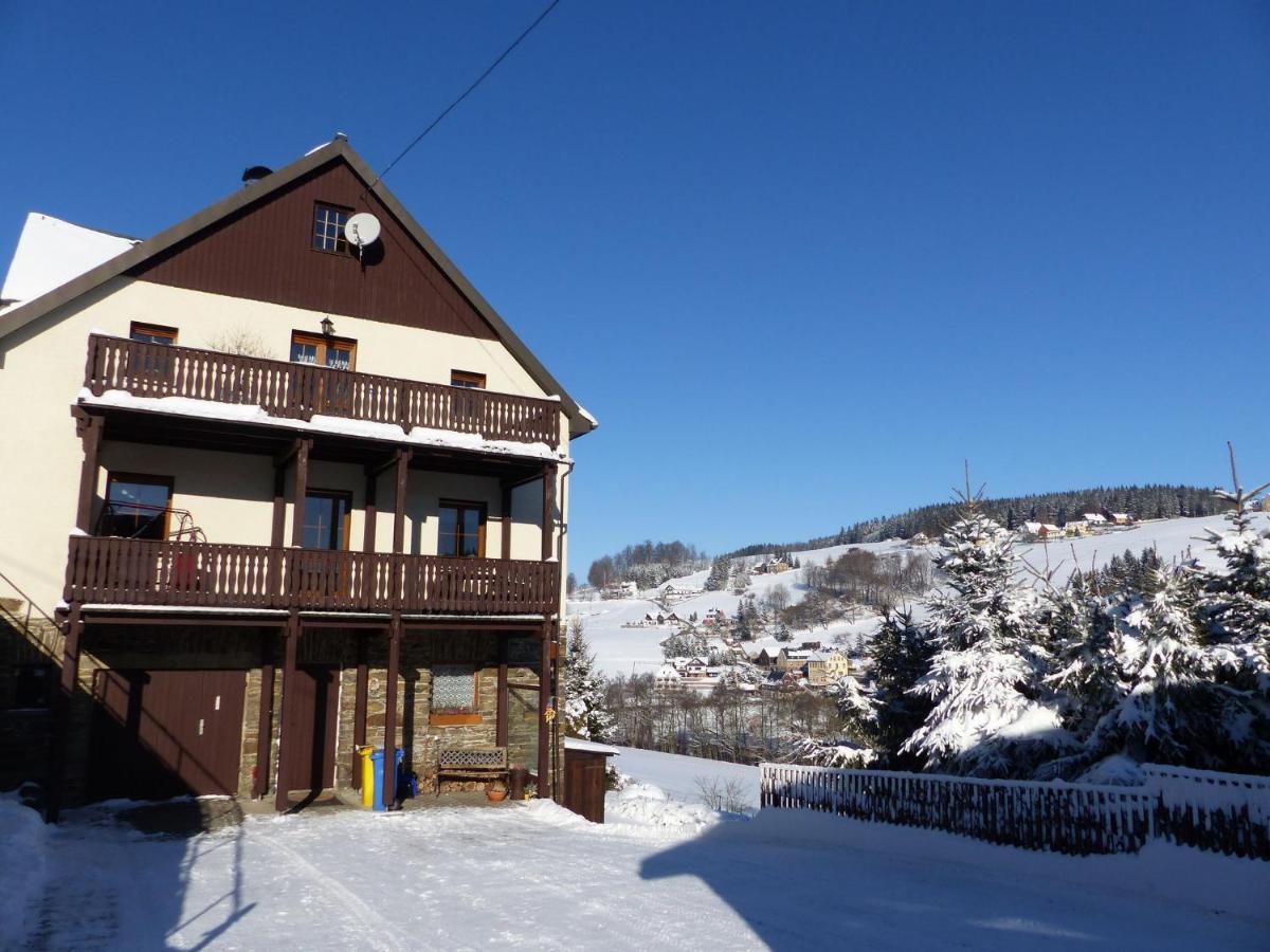 Cozy Apartment In Ore Mountains With Balcony Breitenbrunn  Værelse billede