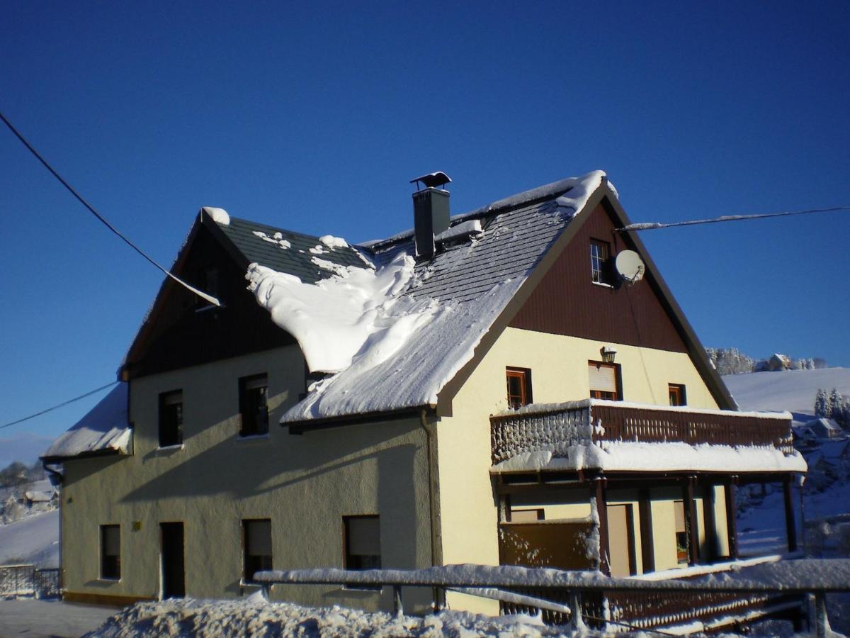 Cozy Apartment In Ore Mountains With Balcony Breitenbrunn  Eksteriør billede