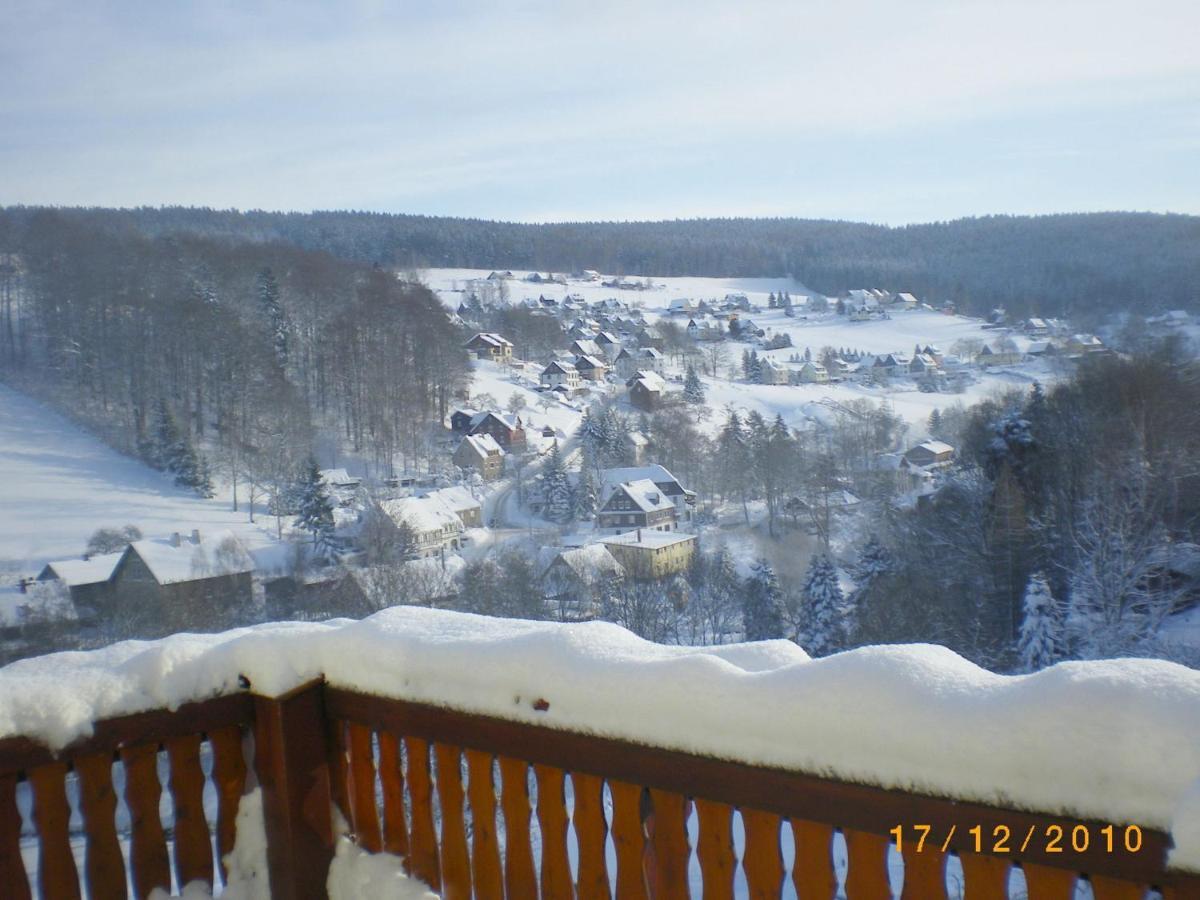 Cozy Apartment In Ore Mountains With Balcony Breitenbrunn  Eksteriør billede