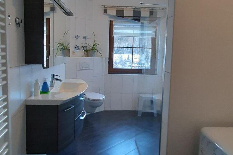 Cozy Apartment In Ore Mountains With Balcony Breitenbrunn  Eksteriør billede