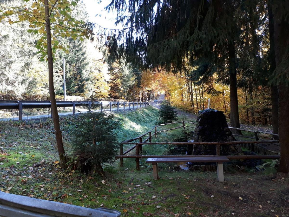 Cozy Apartment In Ore Mountains With Balcony Breitenbrunn  Eksteriør billede